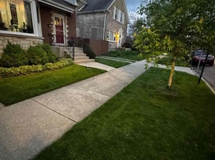 Martin H.'s Lawn Mowing service result