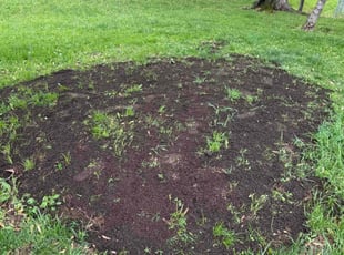 Aeration by Damian Fields for Andrew N. in Franklin, OH