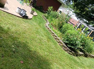 Dwayne M.'s Lawn Mowing service result