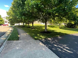 Aaron R.'s Lawn Mowing service result