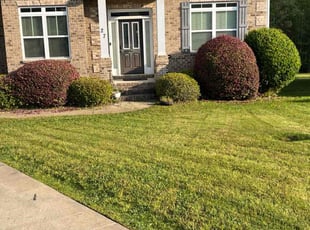 Bush Trimming by Stephen Mathis for Steven T. in Blythewood, SC