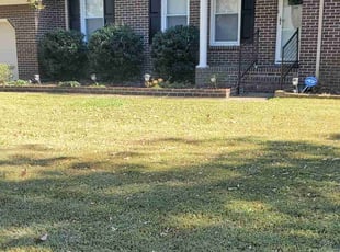 Bush Trimming by Shaun Marshall for Salvatore A. in Virginia Beach, VA
