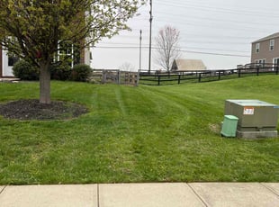 Brendon W.'s Lawn Care service result