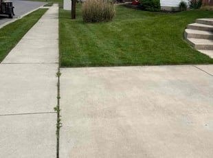 Malique B.'s Lawn Mowing service result
