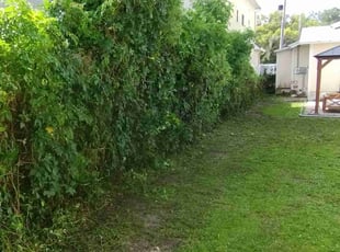 Bush Trimming by Willie Carmichael Jr for Austin G. in Orlando, FL