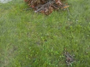 Cleanups by Tyrell Lamonds for Tyler C. in Toledo, OH