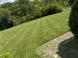 Ken P.'s Lawn Care service result