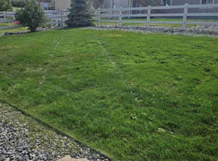 Jim O.'s Lawn Mowing service result