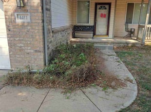 Bush Trimming by William Beacham for Michael S. in Wichita, KS