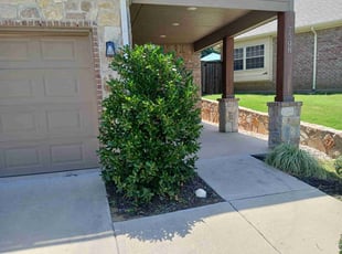 Kathy G.'s Bush Trimming service result