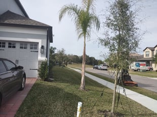 Bush Trimming by Willie Carmichael for Ryan A. in Apopka, FL
