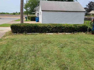 Bush Trimming by Matt Camper for Betty B. in Granite City, IL