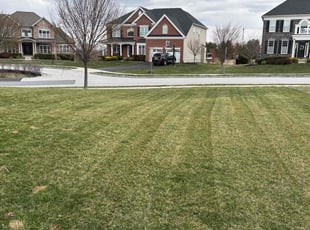 Karen M.'s Lawn Mowing service result