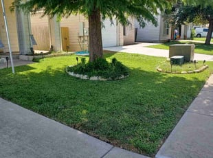 Alejandro R.'s Lawn Mowing service result