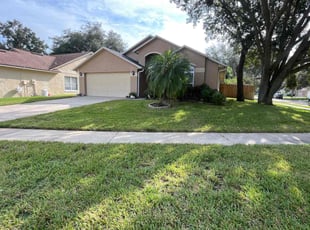 Chris A.'s Lawn Mowing service result