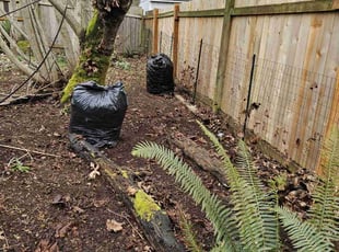 Leaf Removal by Isaias Martinez for Harold C. in Federal Way, WA