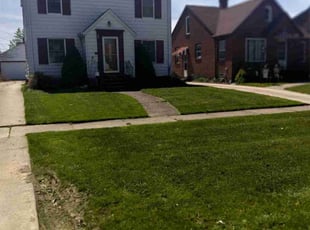 Toya D.'s Grass Cutting service result
