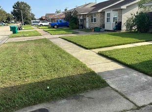 David D.'s Lawn Service service result