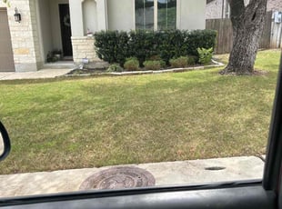 Leaf Removal by Pete Chacon for Derrick L. in Boerne, TX
