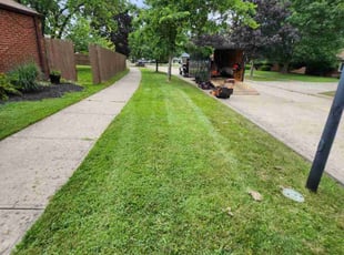 Allan A.'s Lawn Care service result