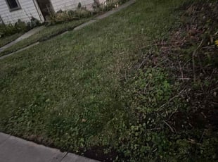 Sarah M.'s Lawn Service service result