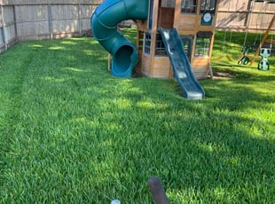 Troy B.'s Lawn Mowing Service service result