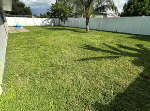 Jaeden J.'s Lawn Care service result