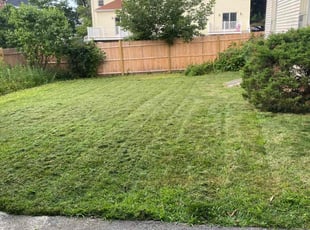 Ken S.'s Lawn Maintenance service result