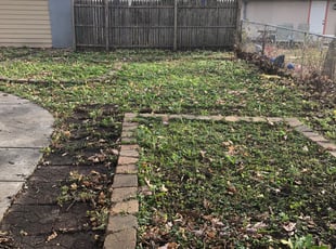 Cleanups by Eric Johnston for MIchelle S. in Minneapolis, MN