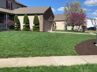 LaTosha G.'s Grass Cutting service result