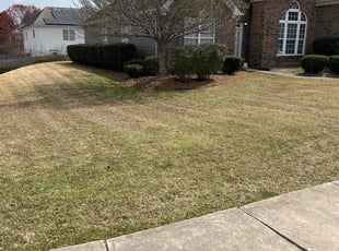 Sharon J.'s Lawn Service service result