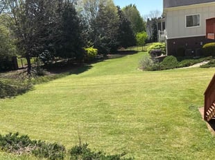 Terrence H.'s Grass Cutting service result