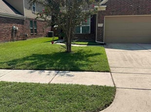 Lourd A.'s Lawn Mowing service result