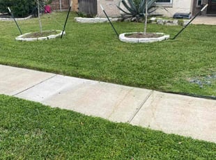 Rakibul I.'s Lawn Maintenance service result
