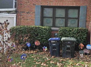 Bush Trimming by James Mckenzie for Flora F. in Washington, DC
