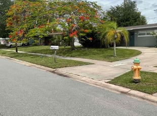 Ken B.'s Lawn Mowing Service service result