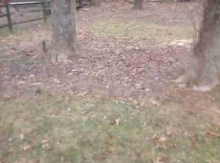 Cleanups by Philip Shoop for Kathleen G. in Seven Valleys, PA