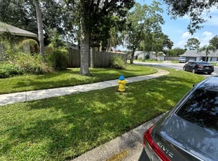 Lisa B.'s Lawn Mowing service result