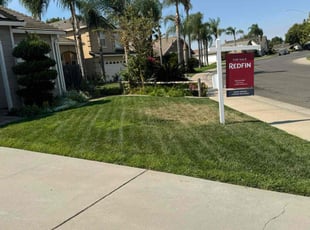 Rozella M.'s Lawn Care service result