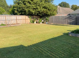 DEJUAN L.'s Lawn Mowing service result
