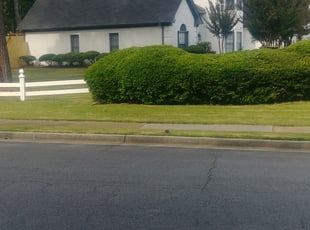 Bush Trimming by Jesse Blackshear for Sophia B. in Smyrna, GA