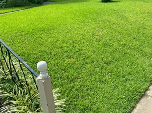 Pamela W.'s Lawn Service service result