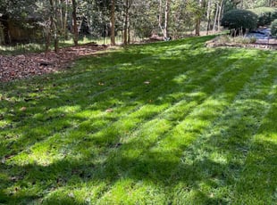 Kate H.'s Lawn Care service result