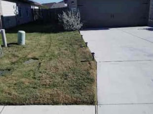 Thomas G.'s Lawn Mowing service result