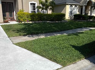 Greg J.'s Lawn Mowing service result