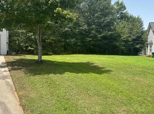 Soy T.'s Lawn Mowing service result