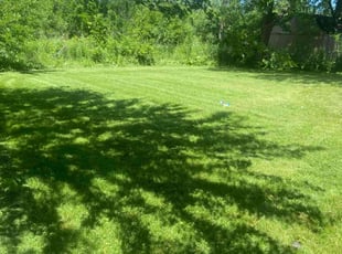 Deborah H.'s Yard Cutting service result