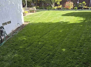 Josephine W.'s Lawn Care service result