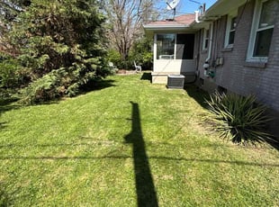 Charlotte G.'s Yard Cutting service result