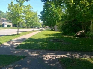 Bettie c.'s Lawn Mowing service result